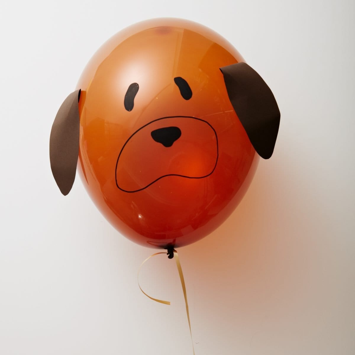 darcy_miller_how_to_dog-balloon_01